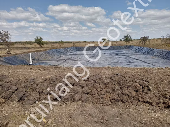 0,5 mm 0,75 mm 1,0 mm 1,5 mm feuille de revêtement en PEHD LLDPE Membrane GSE géomembrane HDPE texturée pour la mise en décharge et la lagune minière